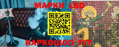 СК Ставрополь