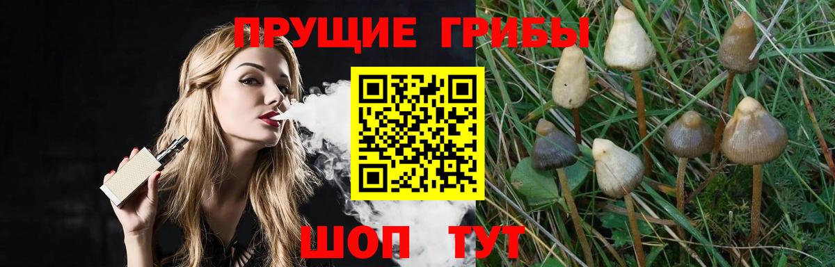 Галлюциногенные грибы прущие грибы  Топки  Галлюциногенные грибы прущие грибы 