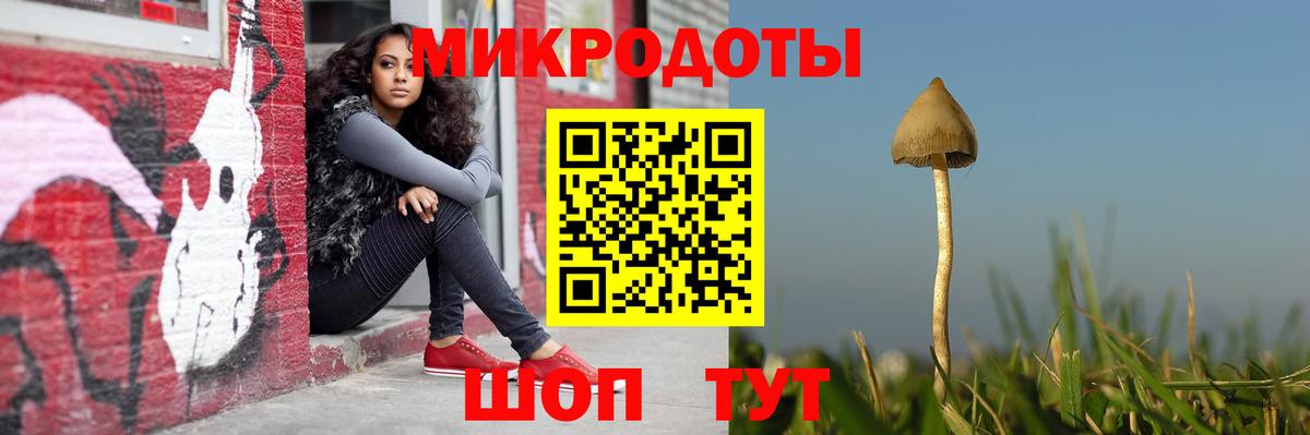 Галлюциногенные грибы Magic Shrooms Топки